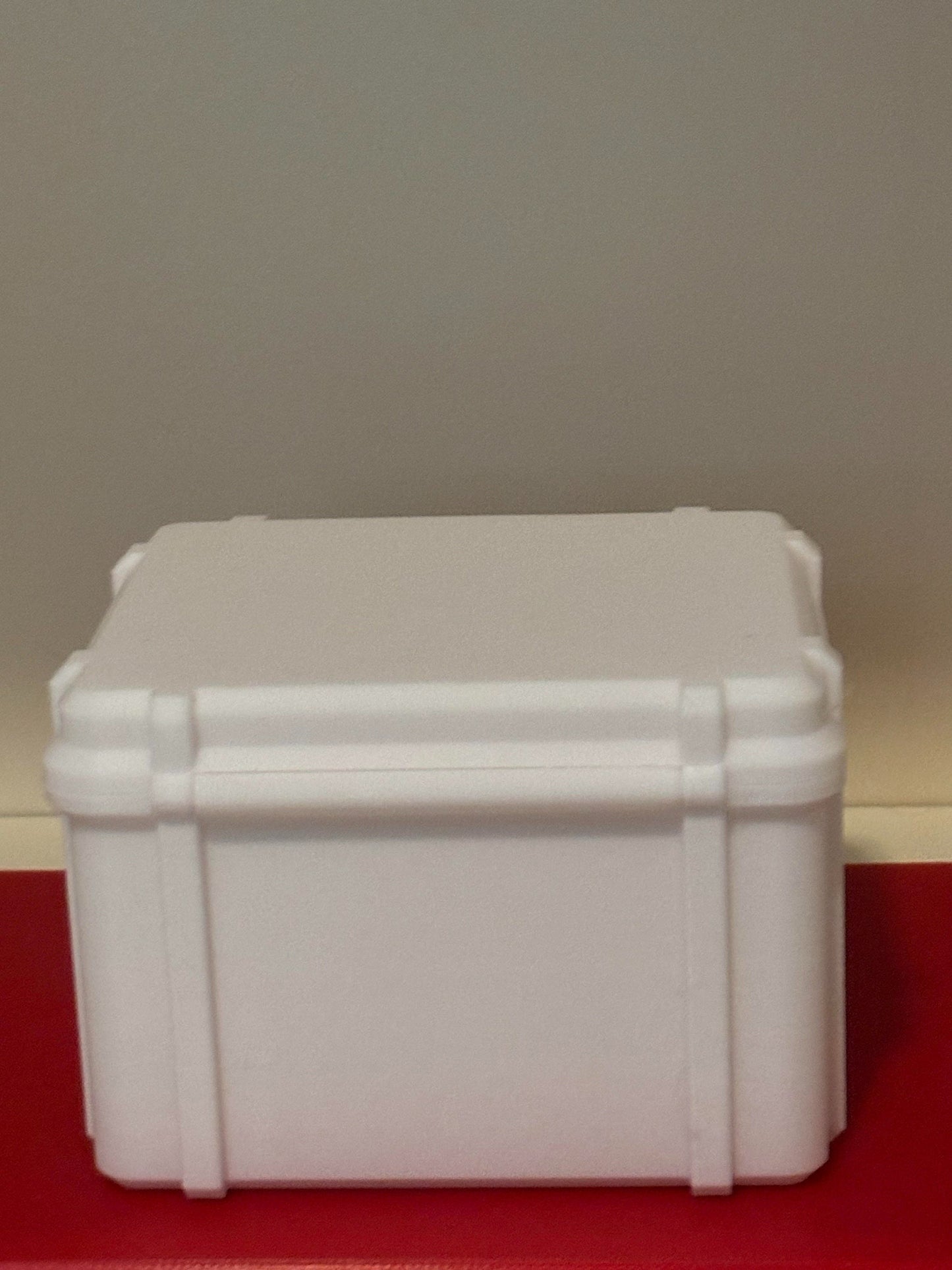Vintage-Style Minidisc Storage Box | Holds 20 MDs | Protective Case for Collectors
