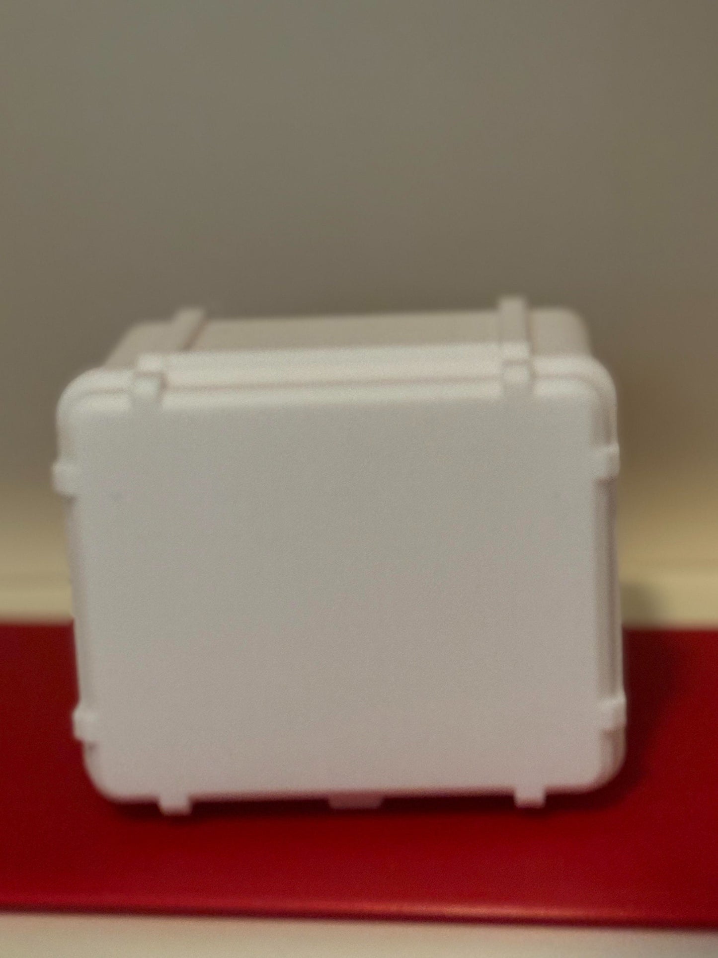 Vintage-Style Minidisc Storage Box | Holds 20 MDs | Protective Case for Collectors