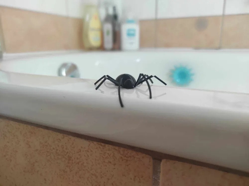 Hilarious Scare Box Spider Prank | Wooden Surprise Box | Funny Gag Gift | Harmless Practical Joke - BatCountryCraftsUSA