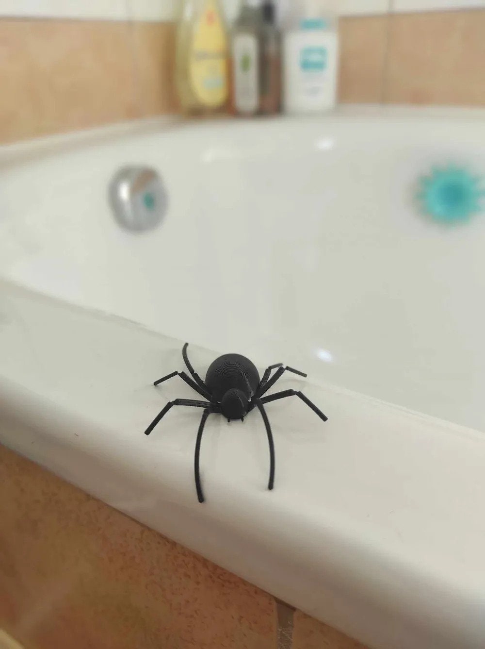 Hilarious Scare Box Spider Prank | Wooden Surprise Box | Funny Gag Gift | Harmless Practical Joke - BatCountryCraftsUSA