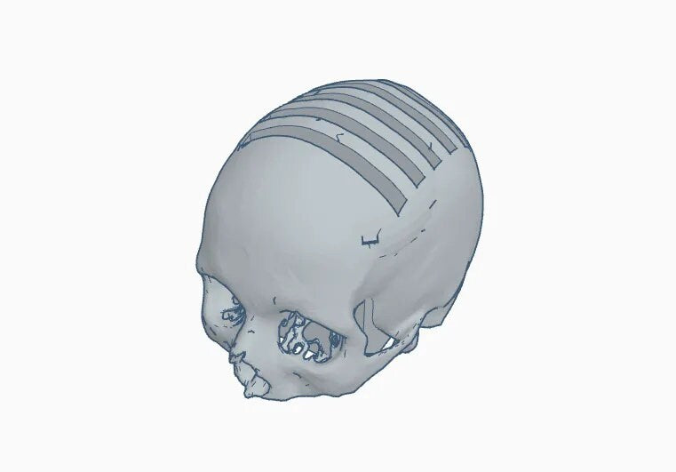 Skull SD Card Holder - Spooky Storage for Your Memory Cards - BatCountryCraftsUSA