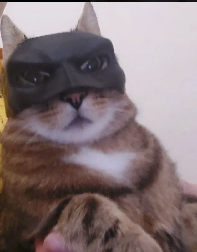 Bat Cat Mask | Halloween Cat Costume | Black Cat Mask | Superhero Pet Costume | Funny Cat Halloween Mask | Cat Cosplay Mask | Bat Kitty Mask - BatCountryCraftsUSA