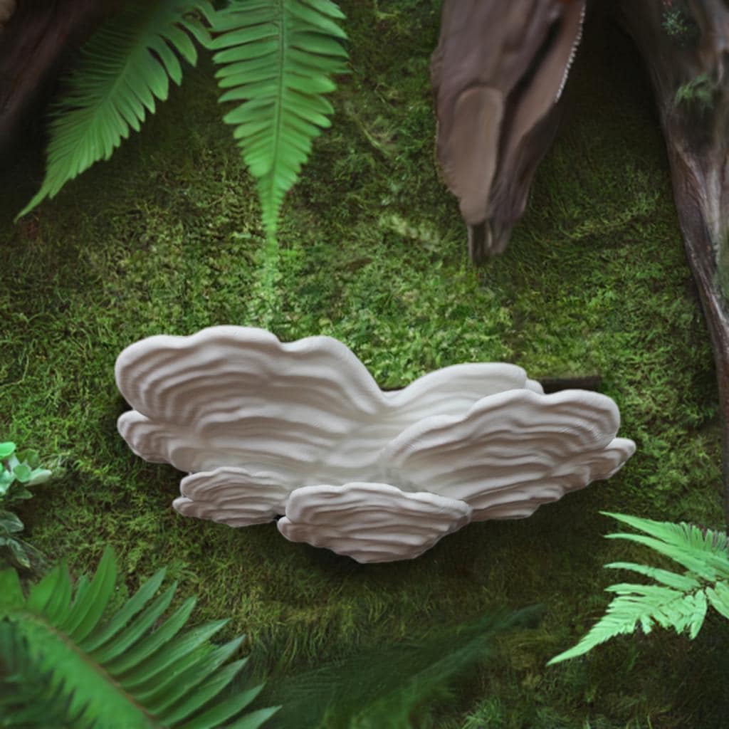 Mushroom Floating Shelf Stereum Ostrea Wall Shelf | Cottagecore Plant Stand | Whimsical Fungi Display | Nature Home Decor Woodland Wall Art - BatCountryCraftsUSA