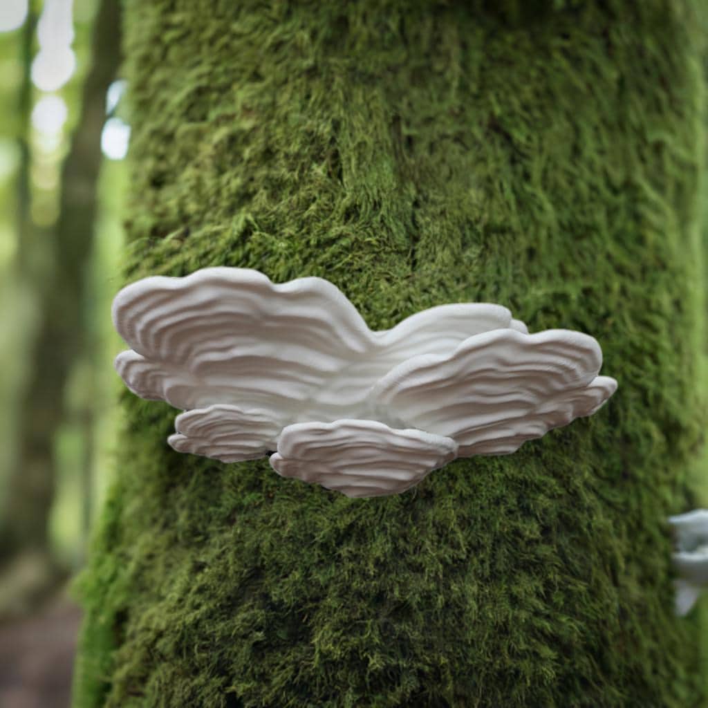 Mushroom Floating Shelf Stereum Ostrea Wall Shelf | Cottagecore Plant Stand | Whimsical Fungi Display | Nature Home Decor Woodland Wall Art - BatCountryCraftsUSA