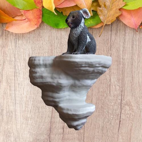 Fomes Fomentarius Mushroom Shelf | Tinder Fungus Floating Display | Cottagecore Bracket Fungi Wall Decor | Naturalist Home Organization - BatCountryCraftsUSA