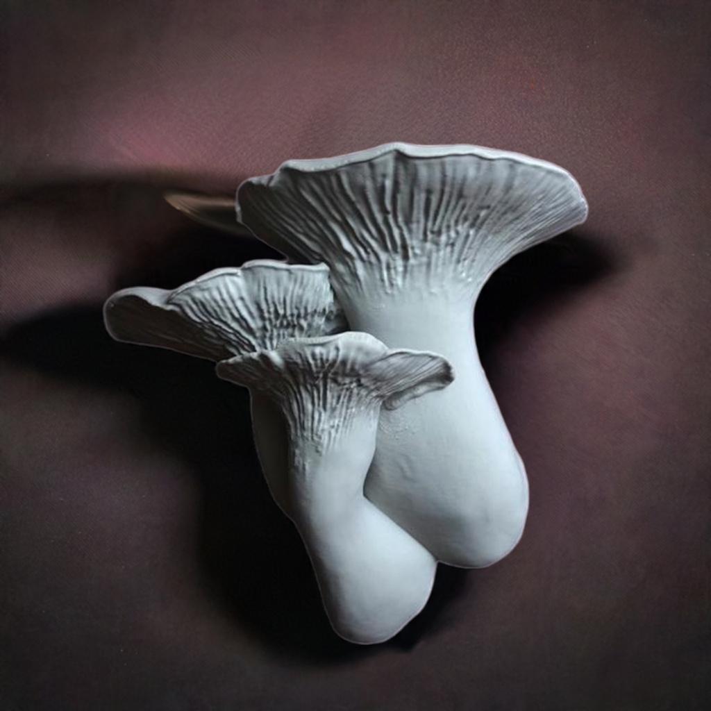 Mushroom Wall Shelf - Pleurotus Eryngii | Nature Inspired Floating Shelf | Unique Decorative Display | Cottagecore Decor | Mushroom Decor - BatCountryCraftsUSA