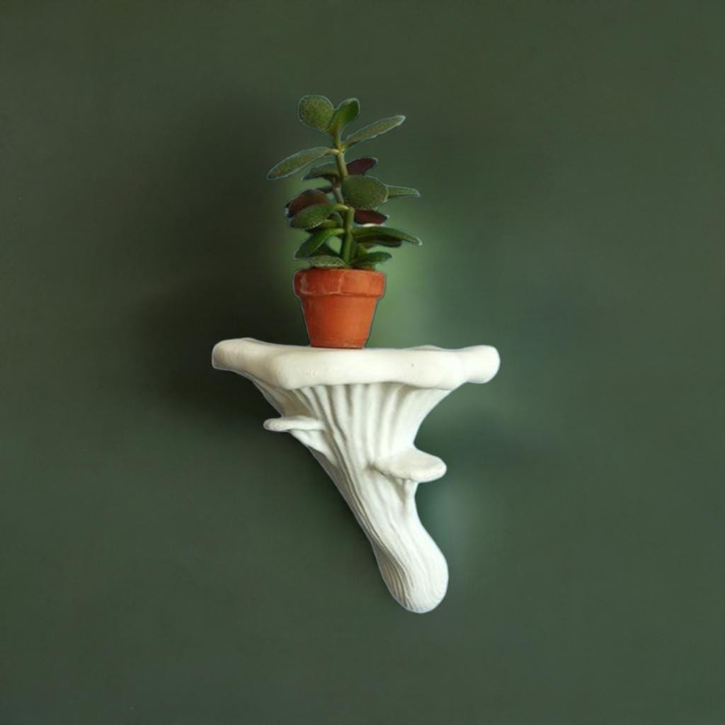 Oyster Mushroom Wall Shelf | Nature Display Stand in 3 Sizes | Woodland Plant Holder | Cottagecore Decor - BatCountryCraftsUSA