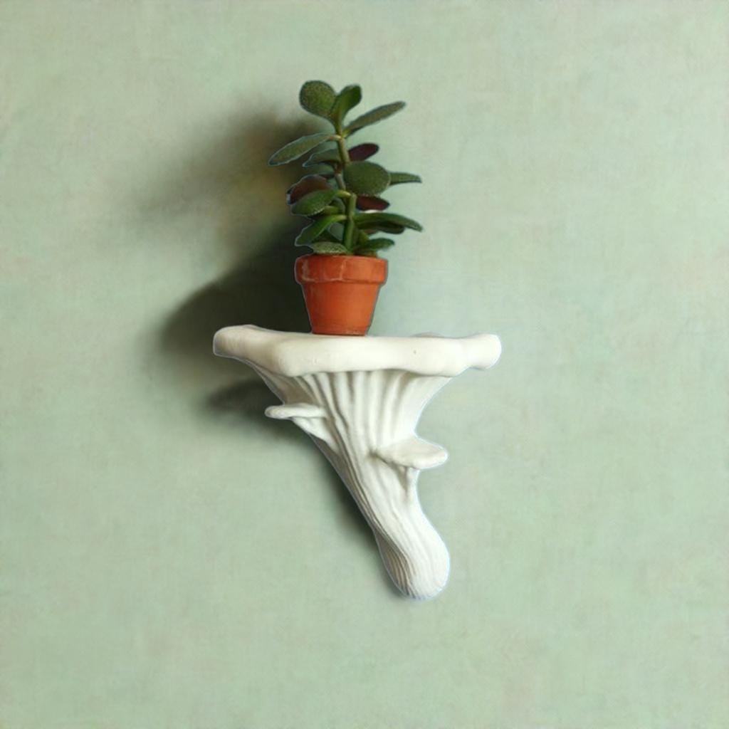 Oyster Mushroom Wall Shelf | Nature Display Stand in 3 Sizes | Woodland Plant Holder | Cottagecore Decor - BatCountryCraftsUSA