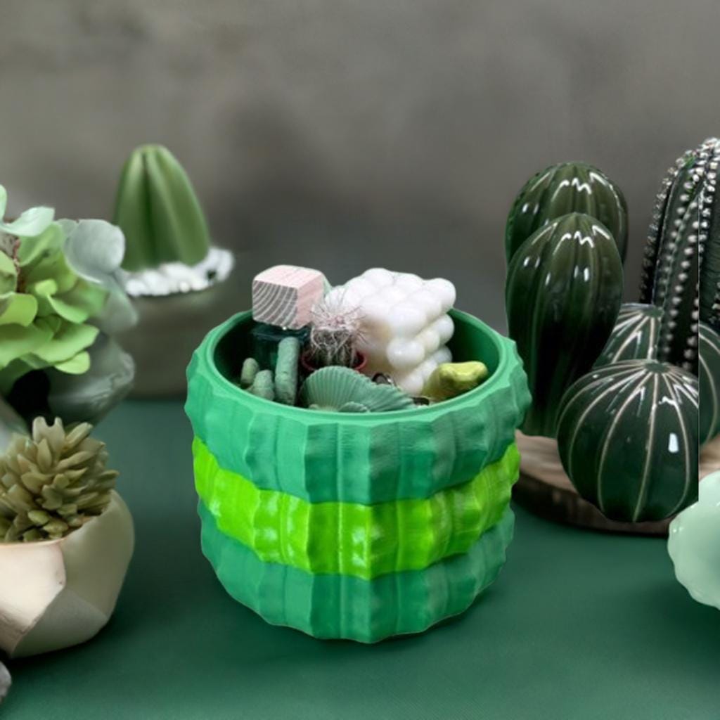 Cactus Storage Bowls | Stackable Desert Decor Trays | Modern Plant-Inspired Organizer | Nesting Catch-All Set 3 Sizes - BatCountryCraftsUSA