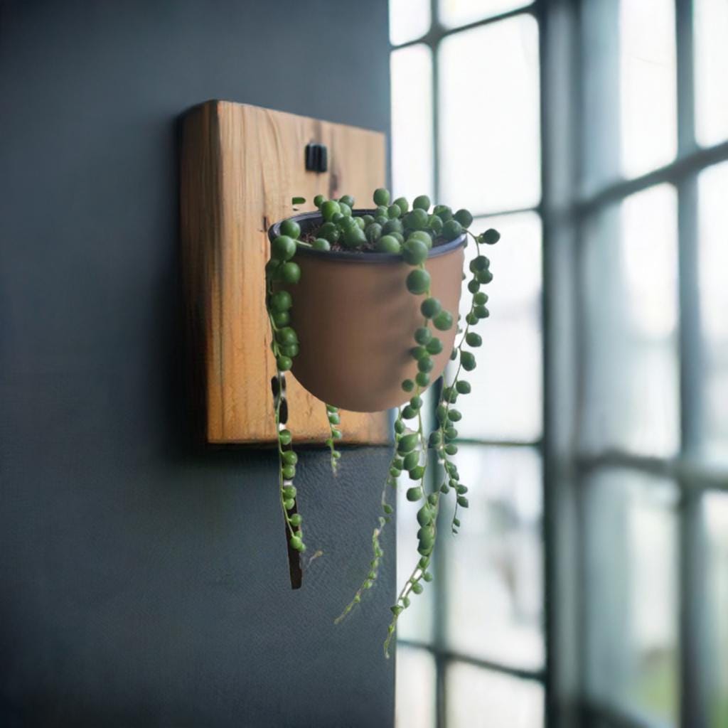 Modern Wall Planter | Removable Hanging Pot | Sleek Indoor Plant Holder | Easy Maintenance Garden Decor - BatCountryCraftsUSA