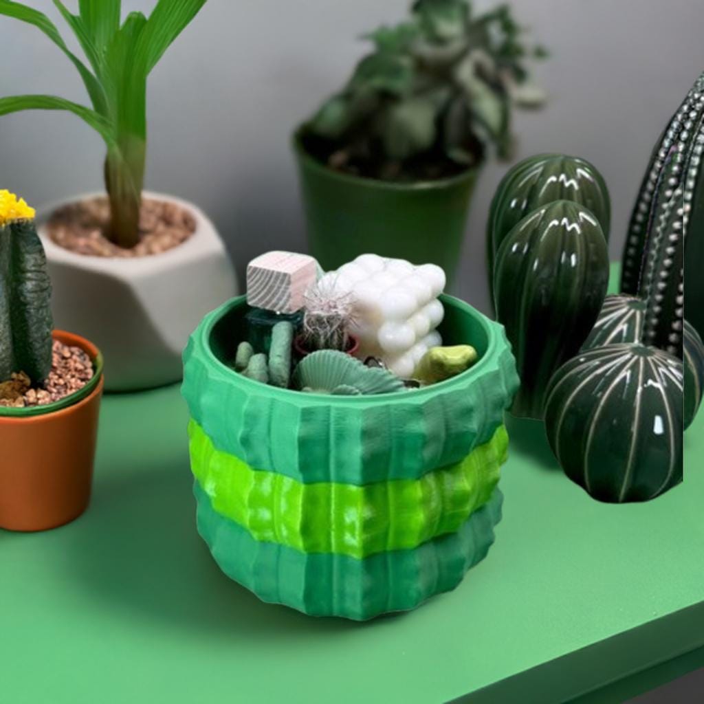 Cactus Storage Bowls | Stackable Desert Decor Trays | Modern Plant-Inspired Organizer | Nesting Catch-All Set 3 Sizes - BatCountryCraftsUSA