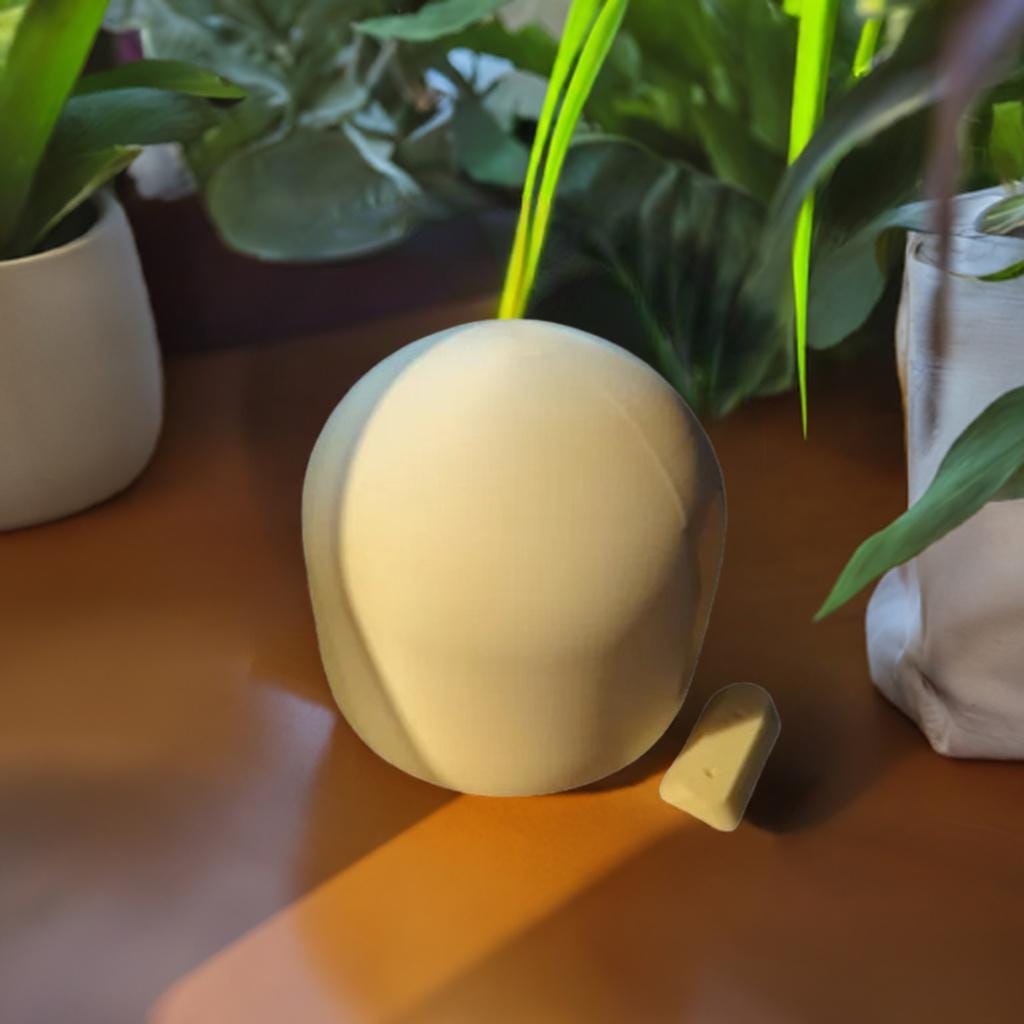 Modern Wall Planter | Removable Hanging Pot | Sleek Indoor Plant Holder | Easy Maintenance Garden Decor - BatCountryCraftsUSA