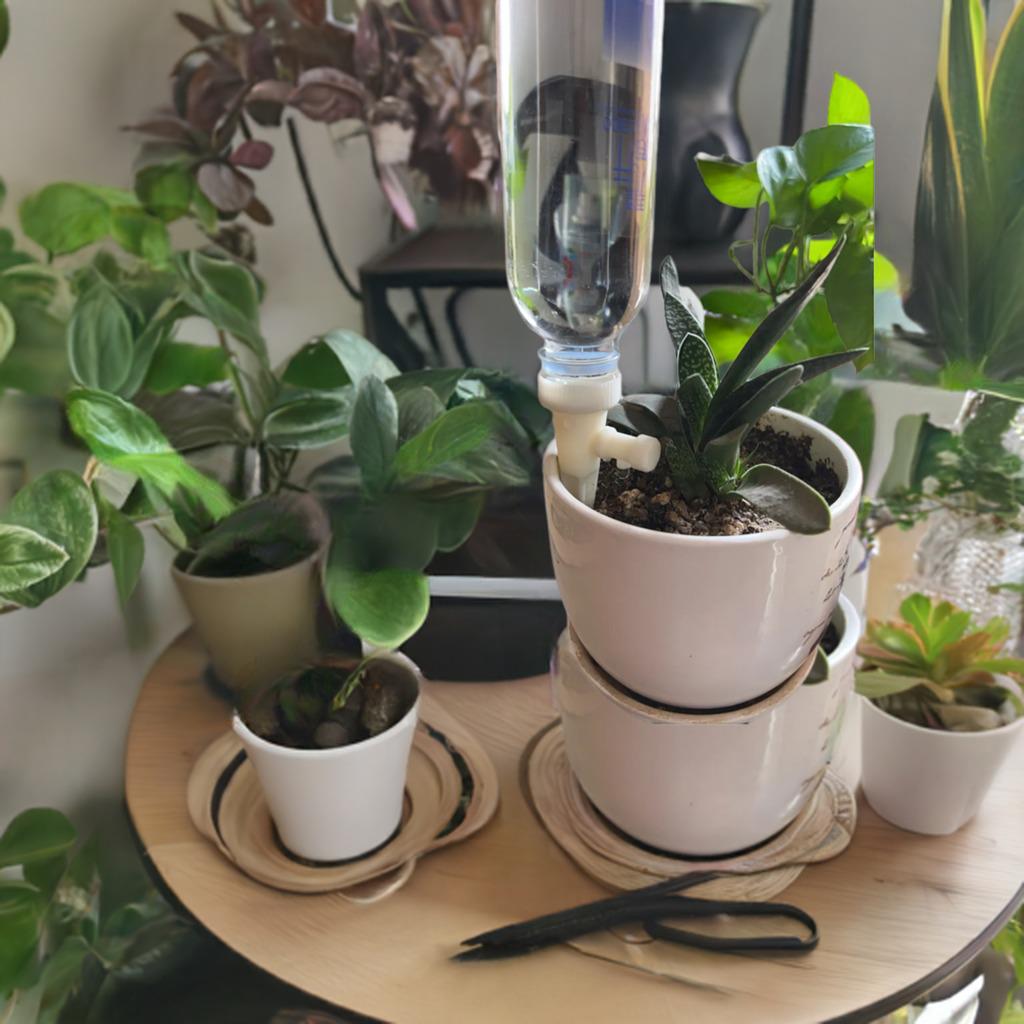 Adjustable Plant Drip Irrigator Set of 3 | Water Flow Control System | Triple Self-Watering Device | Plant Care Kit - BatCountryCraftsUSA