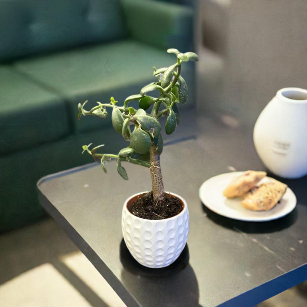 Retro Golf Ball Planter | Modern Plant Pot | Decorative Succulent Holder | Home Decor | Sports Design - BatCountryCraftsUSA