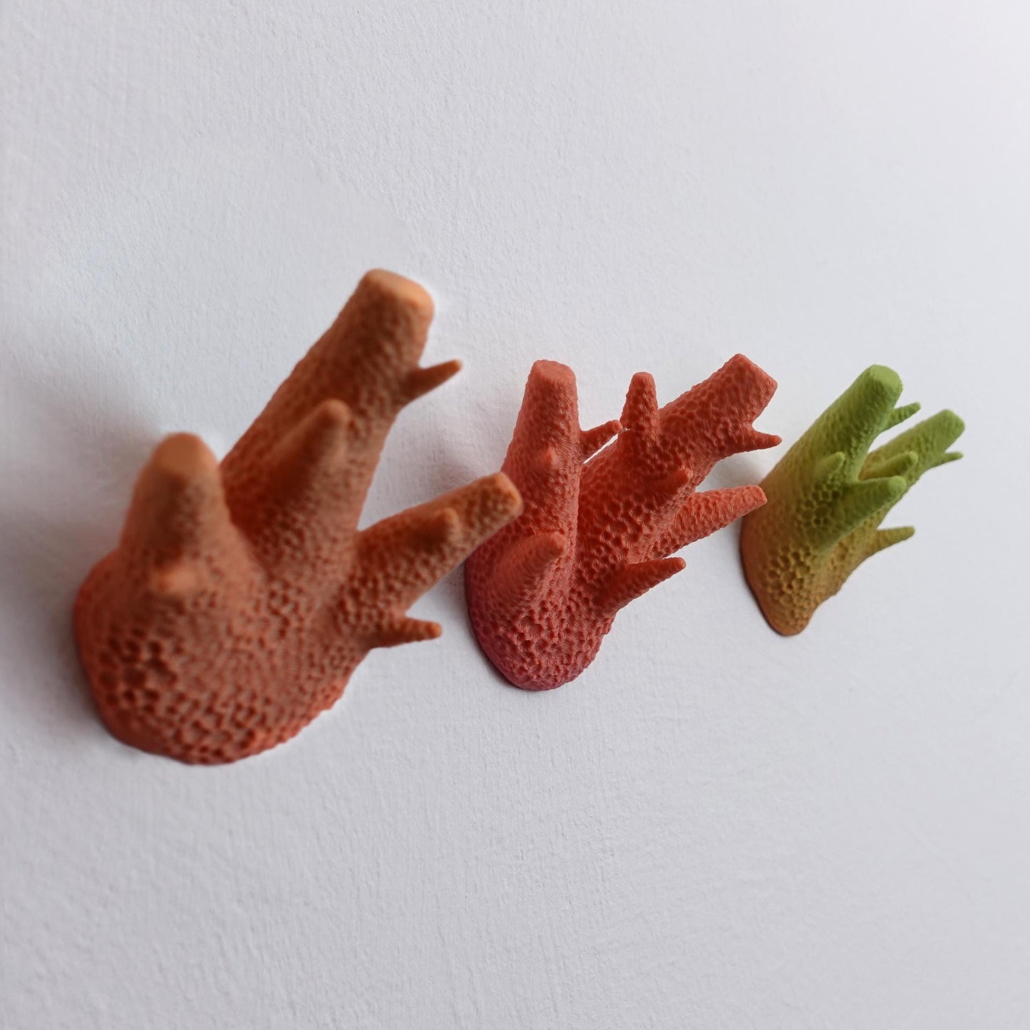Coral Wall Hooks | Decorative Sea-Inspired Coat Hangers | Modern Ocean Art Wall Mount Hooks Set | Nature Home Decor - BatCountryCraftsUSA