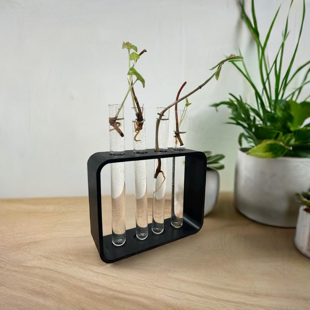Plant Propagation Station | Test Tube Holder for Cuttings | Indoor Garden Hydroponic Growing Kit | 4-Tube Propagation Stand | Plant Rack - BatCountryCraftsUSA