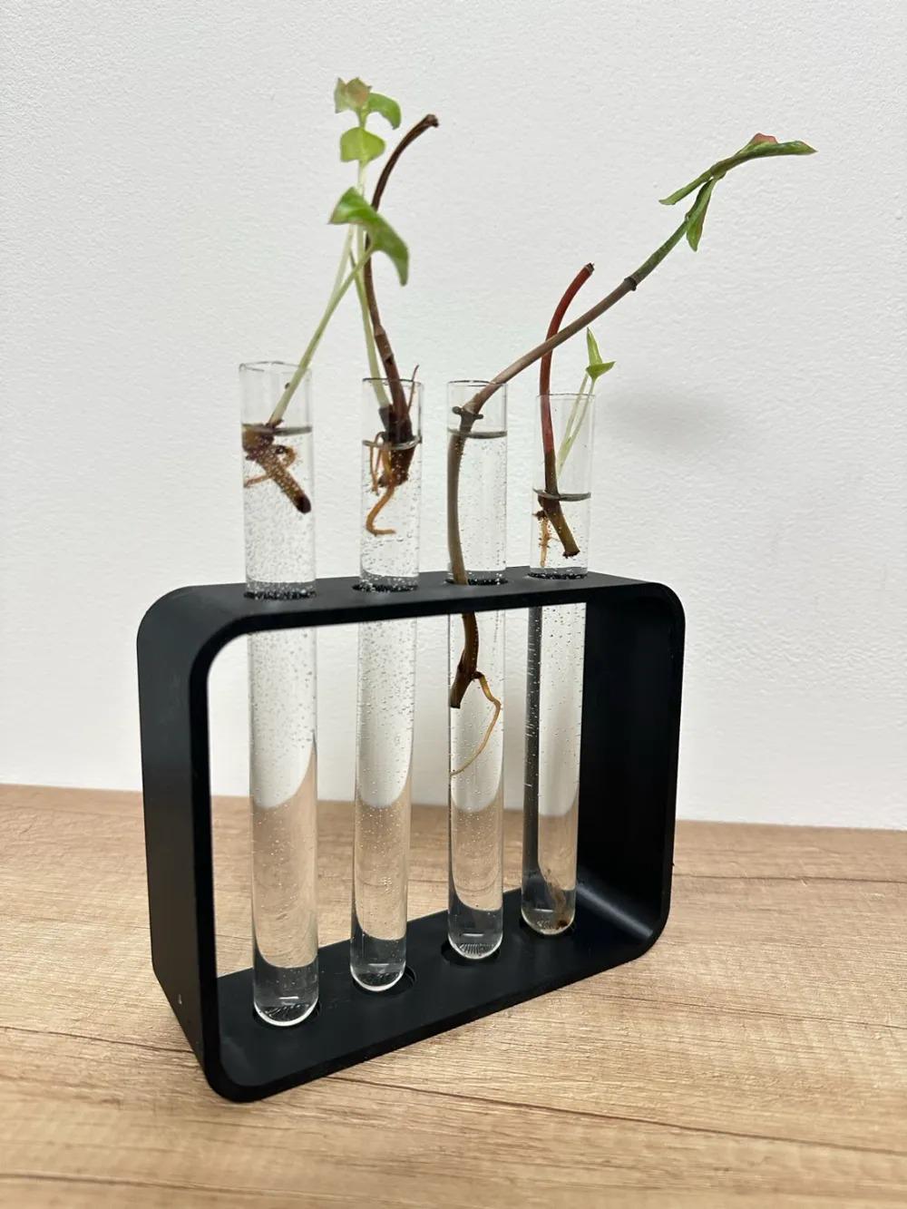 Plant Propagation Station | Test Tube Holder for Cuttings | Indoor Garden Hydroponic Growing Kit | 4-Tube Propagation Stand | Plant Rack - BatCountryCraftsUSA