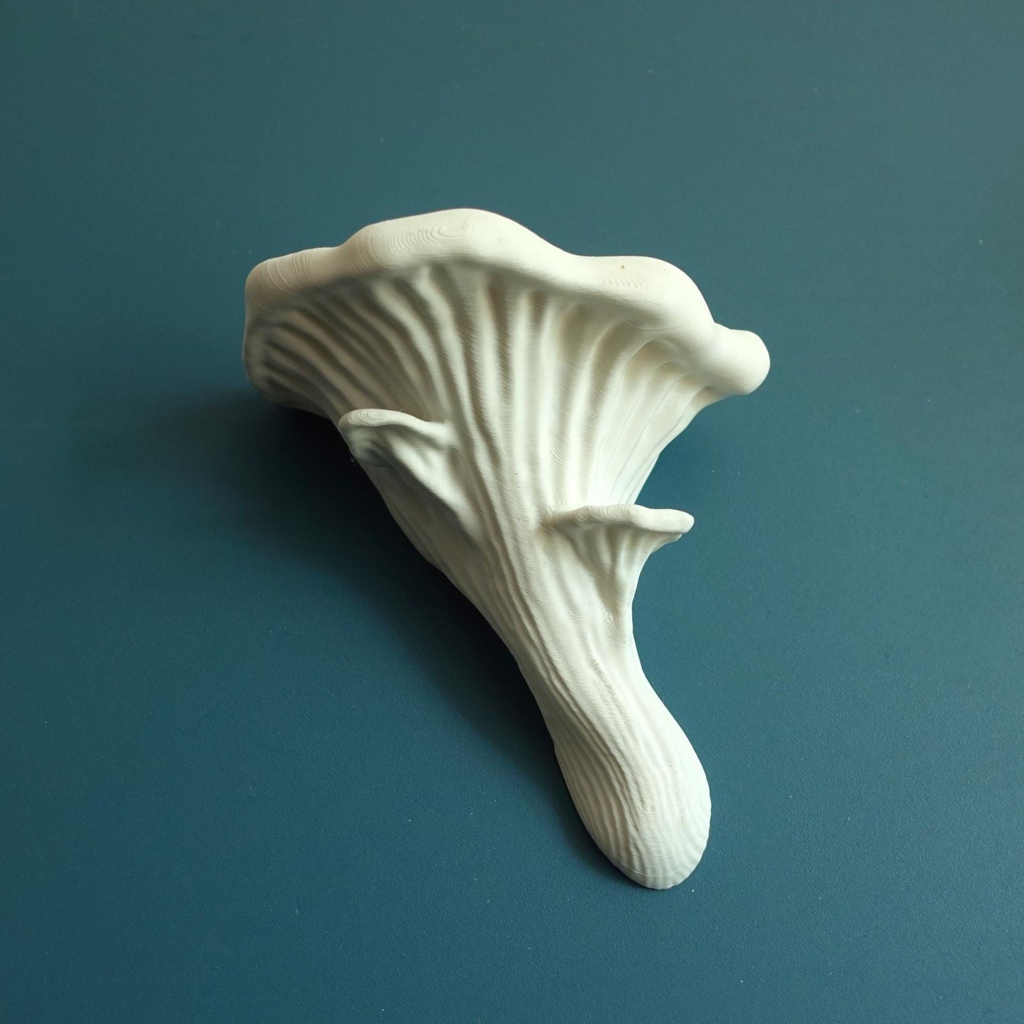 Oyster Mushroom Wall Shelf | Nature Display Stand in 3 Sizes | Woodland Plant Holder | Cottagecore Decor - BatCountryCraftsUSA