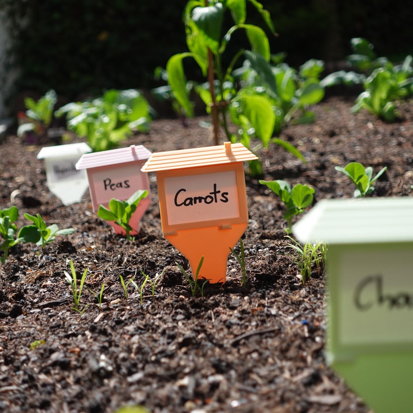 Ultimate Reusable Garden Plant Label | Waterproof Plant Marker | Indoor Outdoor Identification System | Gardening Tracking Tool for Home - BatCountryCraftsUSA