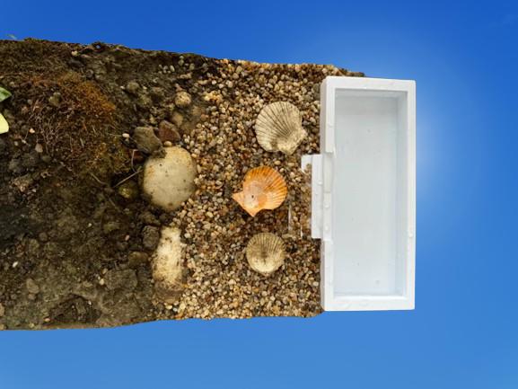Hermit Crab Long Soaking Pool | Rectangle Pet Bath Station | Crabitat Swimming Area | Aquarium Water Dish - BatCountryCraftsUSA