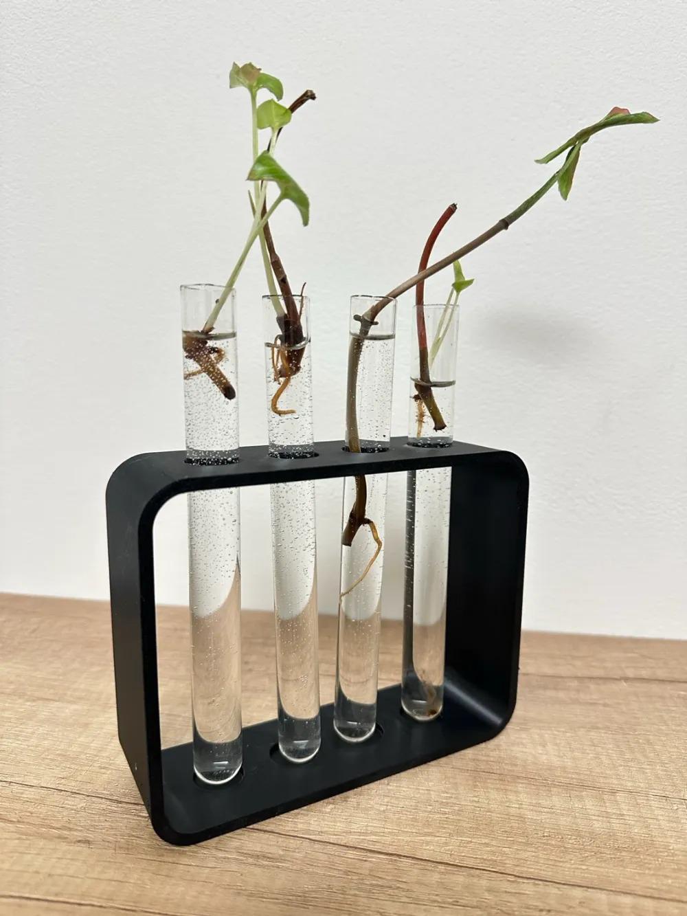 Plant Propagation Station | Test Tube Holder for Cuttings | Indoor Garden Hydroponic Growing Kit | 4-Tube Propagation Stand | Plant Rack - BatCountryCraftsUSA
