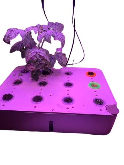 Hydroponic Growing Baskets | Net Pots for Plants | Hydroponics System | Multiple Colors Available | Indoor Gardening | 2-Part Design - BatCountryCraftsUSA