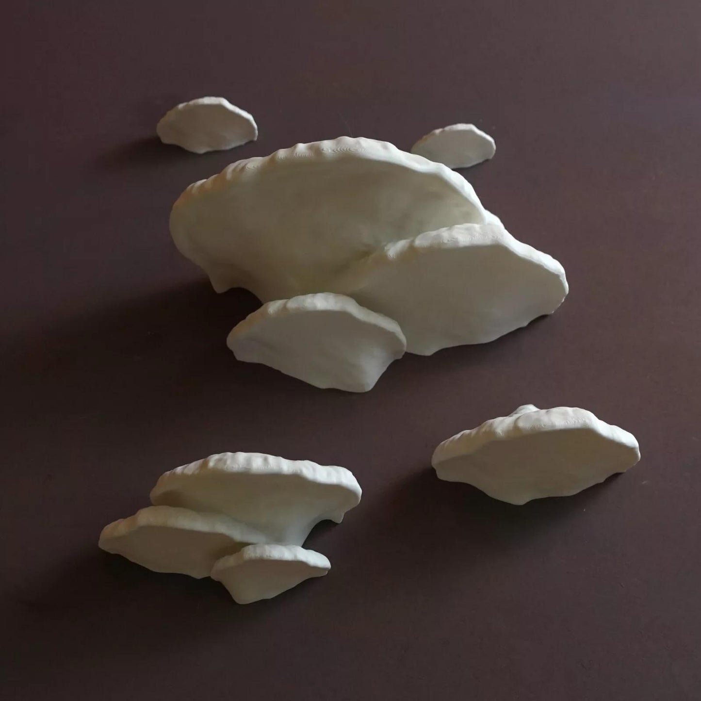 Mushroom Shelf "Formitopsis Pinicula" | 3D Printed Fungi Wall Decor | Cottagecore Floating Shelf | Plant Display | Mushroom Home Decor | - BatCountryCraftsUSA