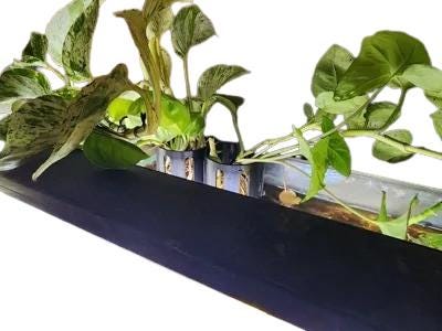 Aquarium Hang On Back Plant Holder | Fish Tank Hydroponics System | Aquaponics Planter | Tank Edge Growing Pot | Aquascape - BatCountryCraftsUSA