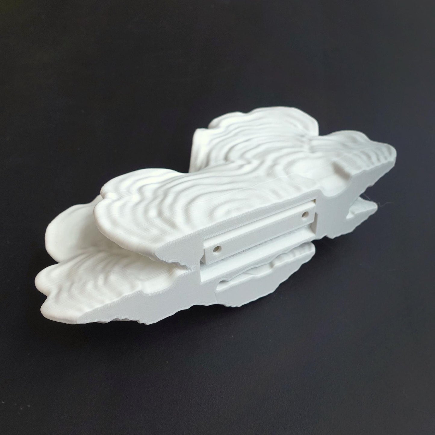 Jumbo Mushroom Floating Shelf | Large Stereum Ostrea Wall Shelf | Cottagecore Statement Piece | XL Fungi Display | Nature Home Decor | - BatCountryCraftsUSA