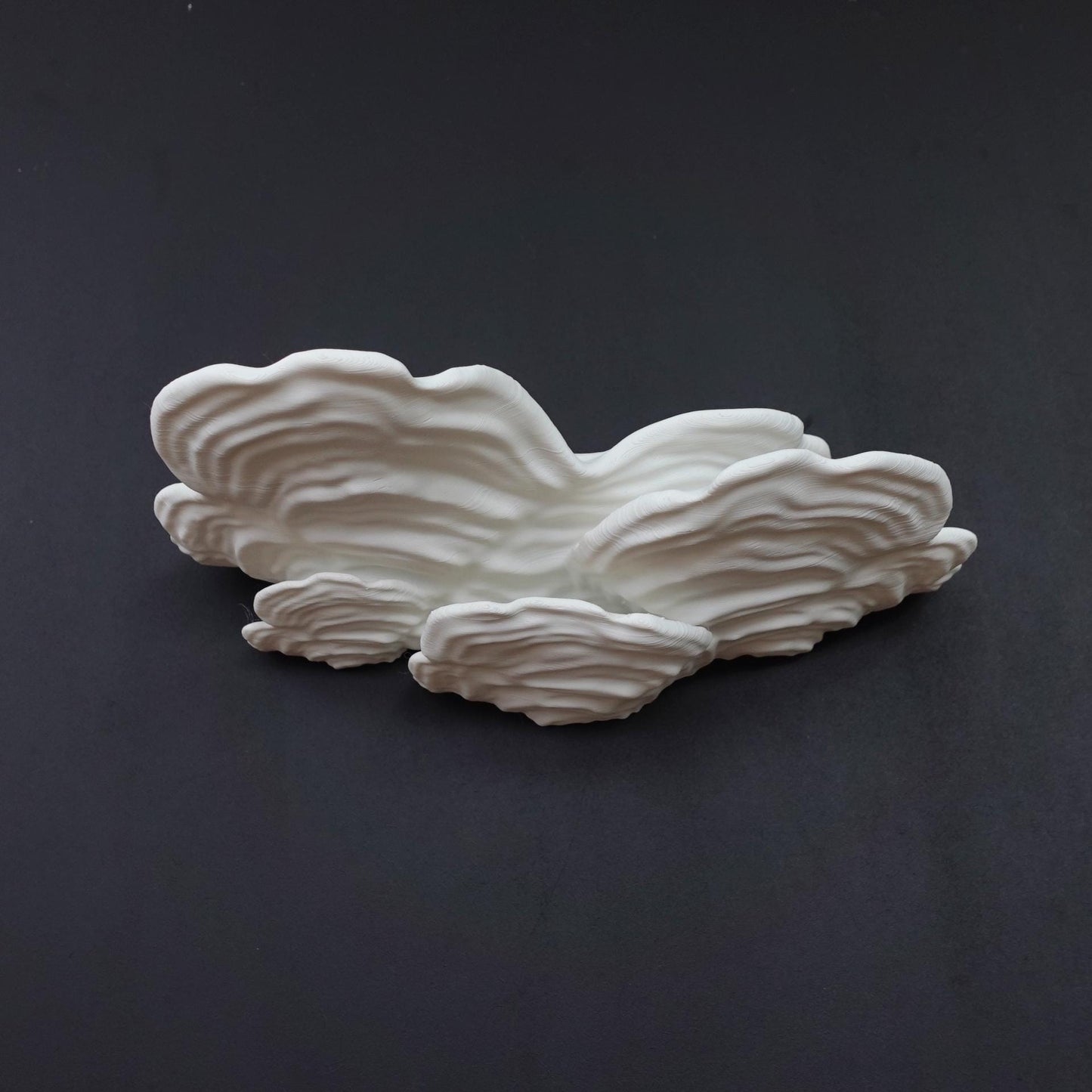 Mushroom Floating Shelf Stereum Ostrea Wall Shelf | Cottagecore Plant Stand | Whimsical Fungi Display | Nature Home Decor Woodland Wall Art - BatCountryCraftsUSA