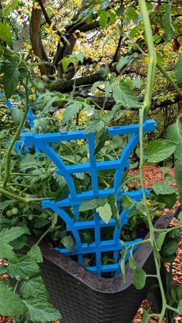 Stackable Plant Trellis | Modular Garden Support | Flower Pot Climbing Frame | Indoor Plant Support | Houseplant Vine Guide - BatCountryCraftsUSA