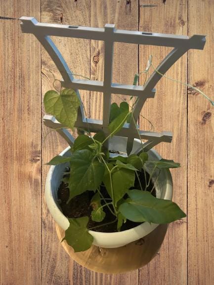 Stackable Plant Trellis | Modular Garden Support | Flower Pot Climbing Frame | Indoor Plant Support | Houseplant Vine Guide - BatCountryCraftsUSA