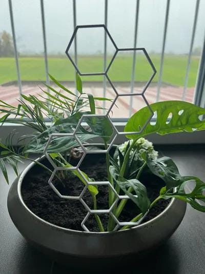 Hexagon Plant Support | Modern Plant Climbing Frame | Geometric Garden Trellis | Indoor Vine Guide | Houseplant Growth Trainer - BatCountryCraftsUSA
