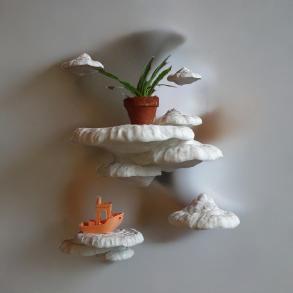 Mushroom Shelf "Formitopsis Pinicula" | 3D Printed Fungi Wall Decor | Cottagecore Floating Shelf | Plant Display | Mushroom Home Decor | - BatCountryCraftsUSA