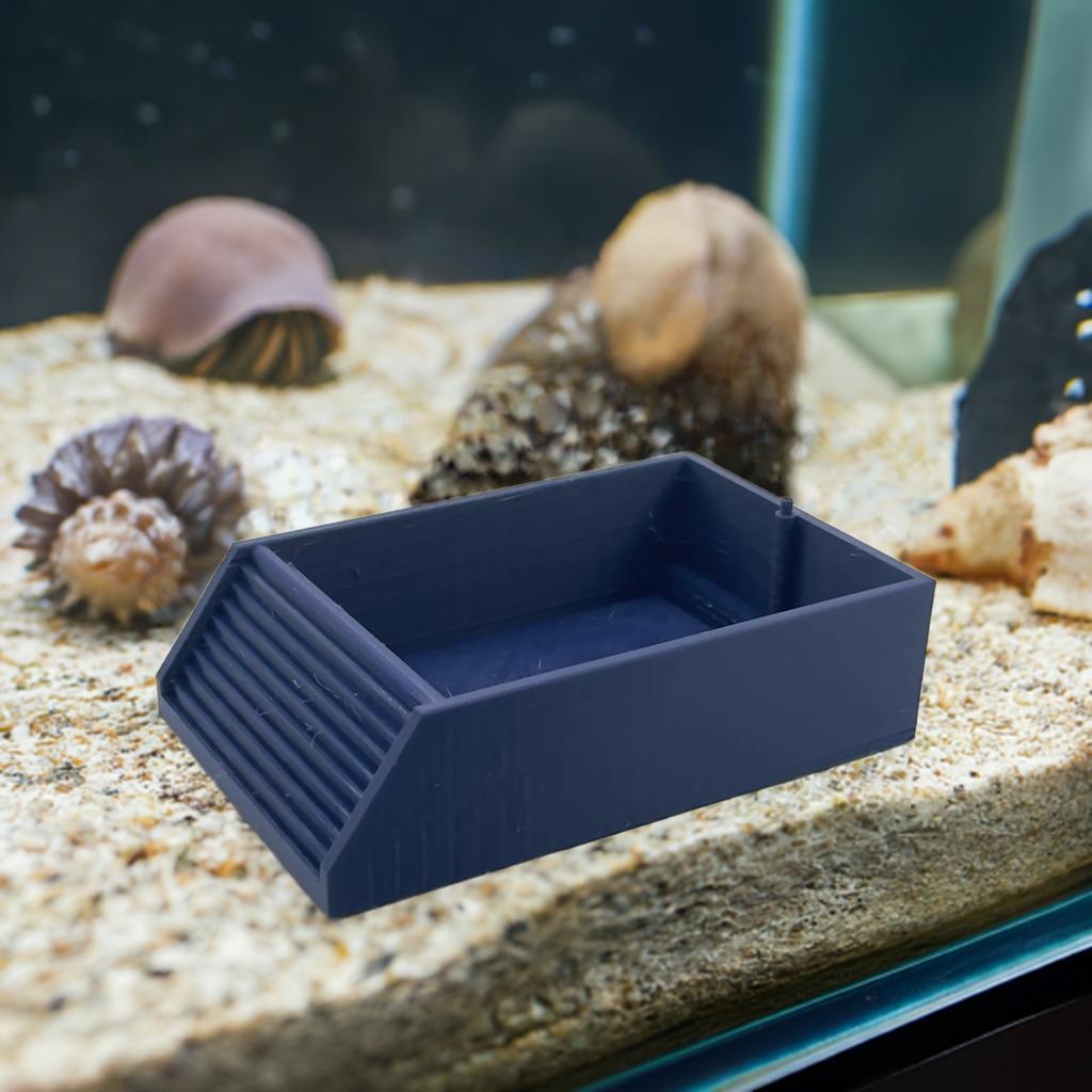 Hermit Crab Pool with Bubbler Attachment | Oxygenated Water Dish | Crabitat Aqua Filter | Pet Aerator Bath - BatCountryCraftsUSA