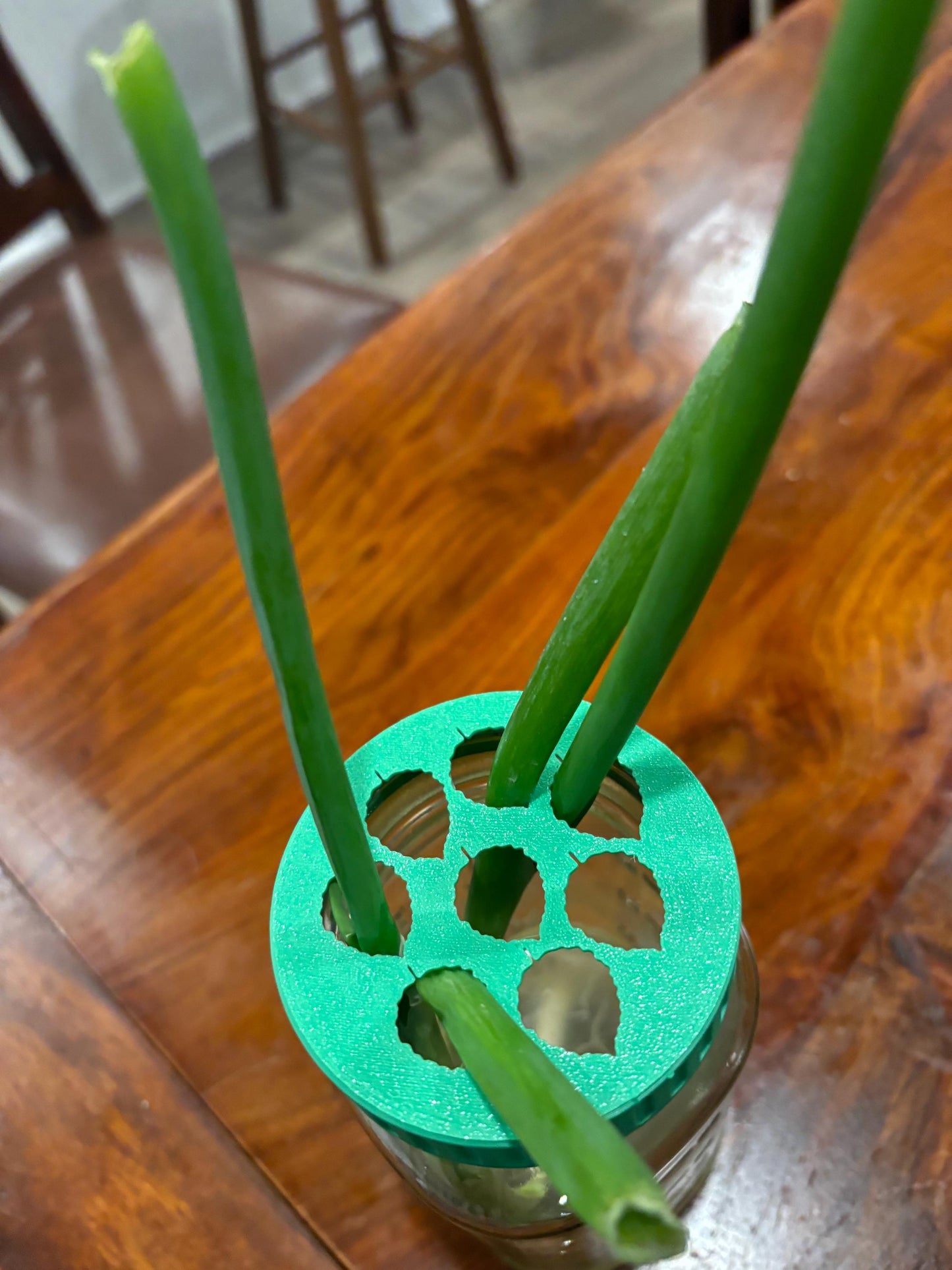 Plant Propagation Lid for Mason Jars | Hydroponic Plant Cuttings Station | Indoor Plant Accessories | Water Propagation | Custom Colors - BatCountryCraftsUSA