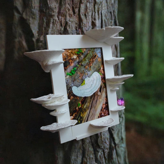 Mushroom Picture Frame Cottagecore Wall Decor Whimsical Photo Display Real Forest Fungi Trametes Pubescens Shelf Art Woodland Home Decor 4x6 - BatCountryCraftsUSA