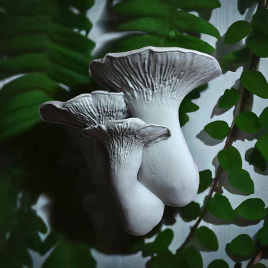 Mushroom Wall Shelf - Pleurotus Eryngii | Nature Inspired Floating Shelf | Unique Decorative Display | Cottagecore Decor | Mushroom Decor - BatCountryCraftsUSA