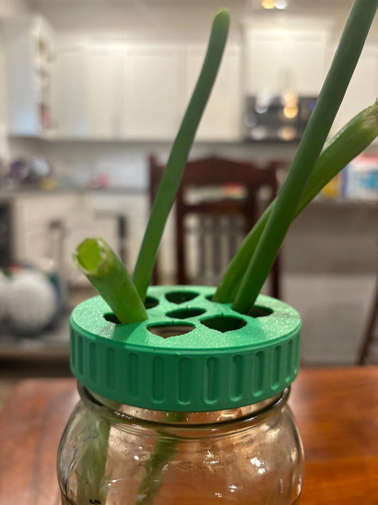 Plant Propagation Lid for Mason Jars | Hydroponic Plant Cuttings Station | Indoor Plant Accessories | Water Propagation | Custom Colors - BatCountryCraftsUSA