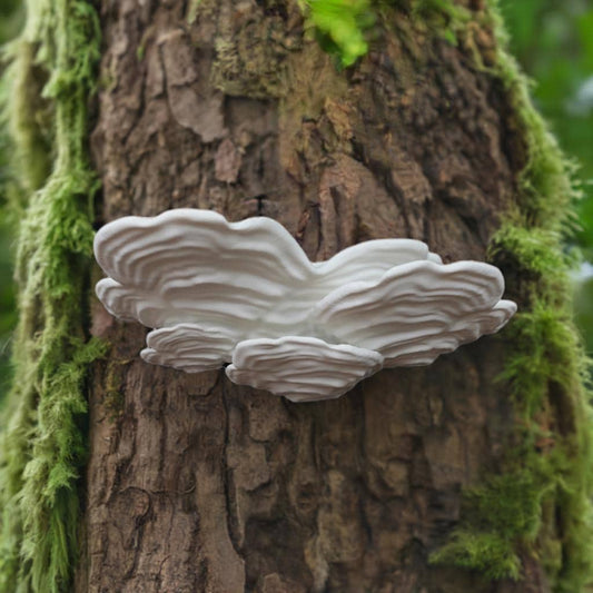 Mushroom Floating Shelf Stereum Ostrea Wall Shelf | Cottagecore Plant Stand | Whimsical Fungi Display | Nature Home Decor Woodland Wall Art - BatCountryCraftsUSA