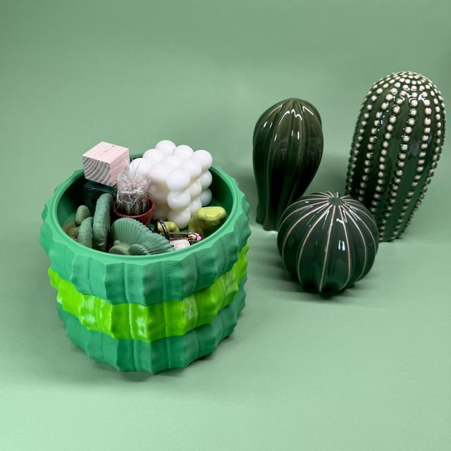 Cactus Storage Bowls | Stackable Desert Decor Trays | Modern Plant-Inspired Organizer | Nesting Catch-All Set 3 Sizes - BatCountryCraftsUSA