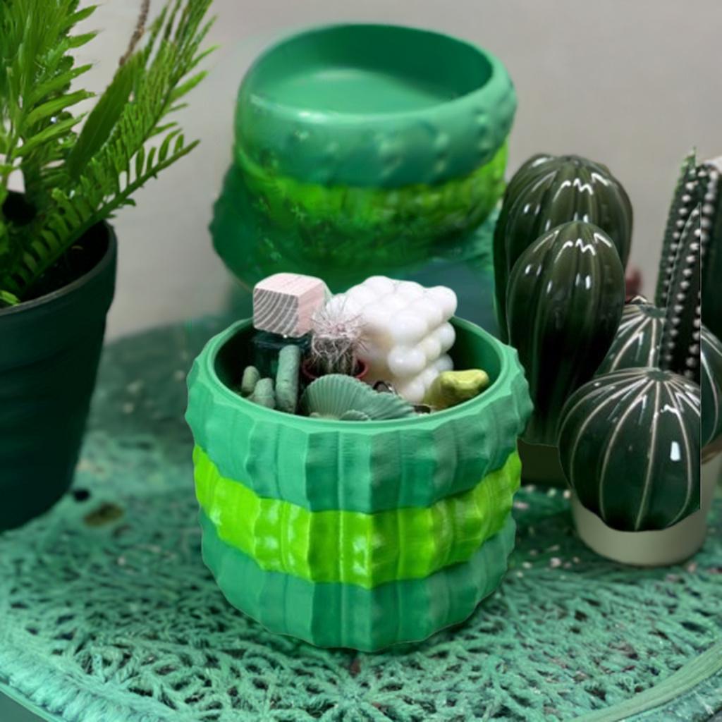 Cactus Storage Bowls | Stackable Desert Decor Trays | Modern Plant-Inspired Organizer | Nesting Catch-All Set 3 Sizes - BatCountryCraftsUSA