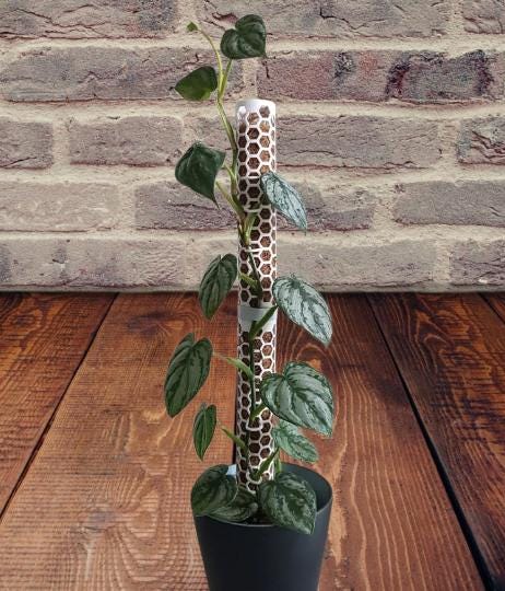 Modular Plant Support Moss Pole System | Expandable Climbing Plant Stake | Indoor Plant Trellis Kit | Monstera Support | Growth Guide - BatCountryCraftsUSA