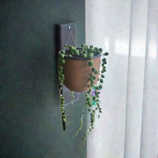 Modern Wall Planter | Removable Hanging Pot | Sleek Indoor Plant Holder | Easy Maintenance Garden Decor - BatCountryCraftsUSA