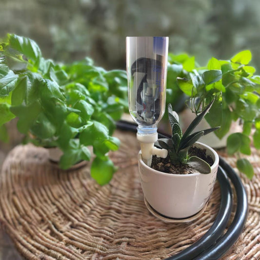 Adjustable Plant Drip Irrigator Set of 3 | Water Flow Control System | Triple Self-Watering Device | Plant Care Kit - BatCountryCraftsUSA