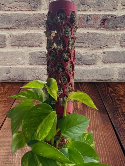 Stackable Moss Pole for Plants | Climbing Plant Support | Modular Garden Stake | Adjustable Height Trellis - BatCountryCraftsUSA