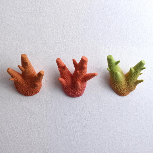 Coral Wall Hooks | Decorative Sea-Inspired Coat Hangers | Modern Ocean Art Wall Mount Hooks Set | Nature Home Decor - BatCountryCraftsUSA