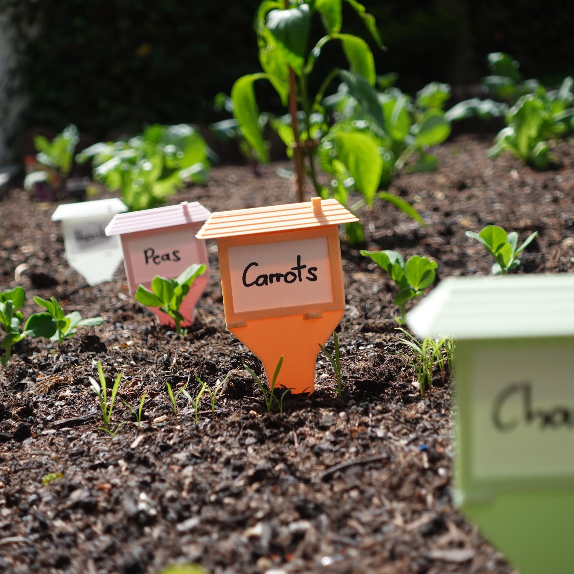 Ultimate Reusable Garden Plant Label | Waterproof Plant Marker | Indoor Outdoor Identification System | Gardening Tracking Tool for Home - BatCountryCraftsUSA