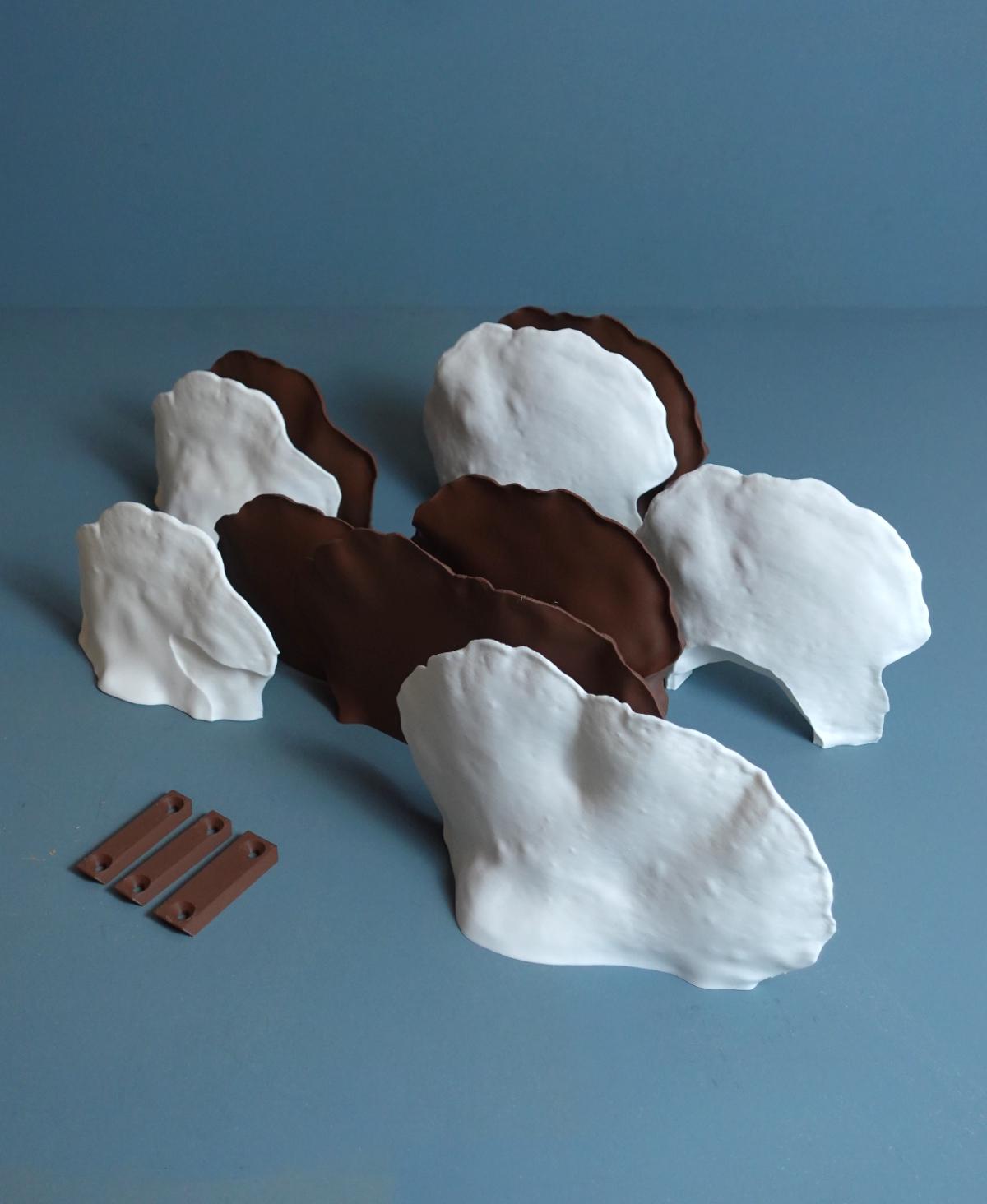 Ganoderma Applanatum Mushroom Wall Shelf | Realistic Shelf Fungus Floating Shelf | Botanical Woodland Wall Decor | Nature Inspired Plant - BatCountryCraftsUSA