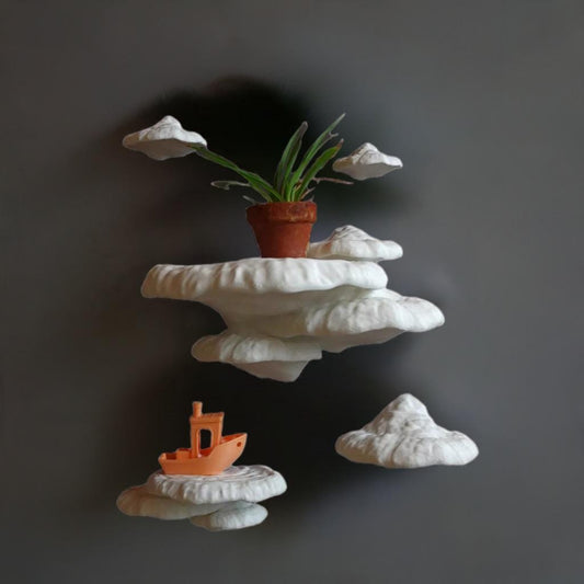 Mushroom Shelf "Formitopsis Pinicula" | 3D Printed Fungi Wall Decor | Cottagecore Floating Shelf | Plant Display | Mushroom Home Decor | - BatCountryCraftsUSA